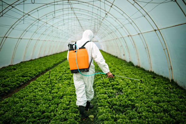 Best Pest Removal Services  in Dalton, OH