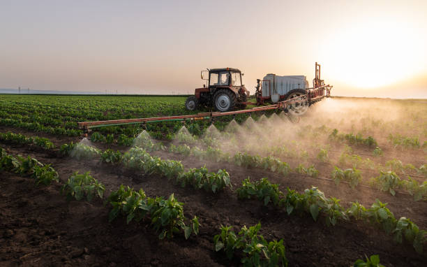 Best Best Pest Control Companies  in Dalton, OH