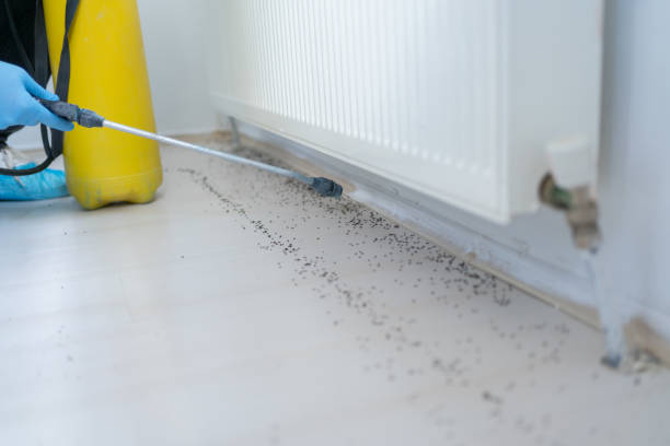Best Pest Removal Services  in Dalton, OH
