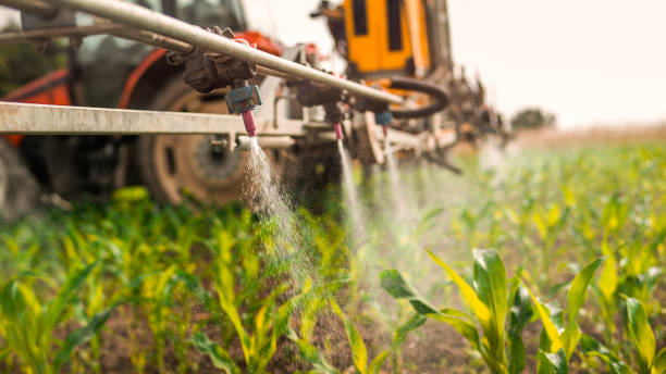 Best Local Pest Control Services  in Dalton, OH