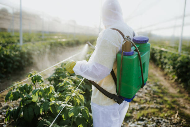 Best Commercial Pest Control Services  in Dalton, OH